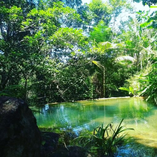 Piscina natural